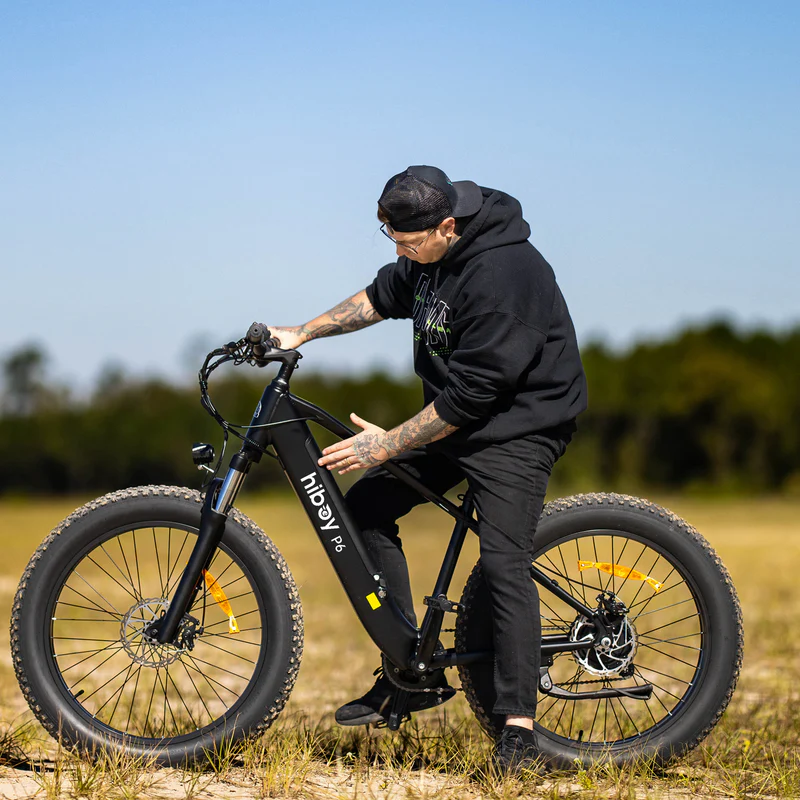 Sky P6 Fat Tire Electric Bike 2025