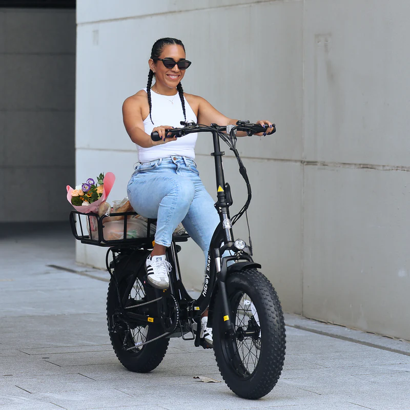 Sky EX6F Low-Step Foldable Electric Bike