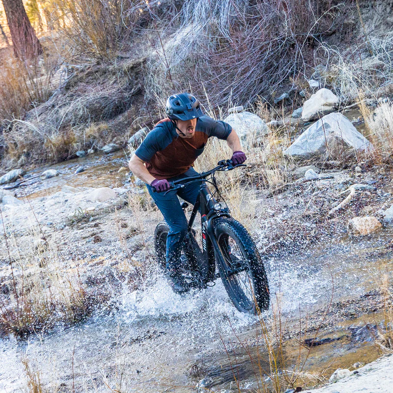 Sky P6 Refurbished Fat Tire Electric Bike