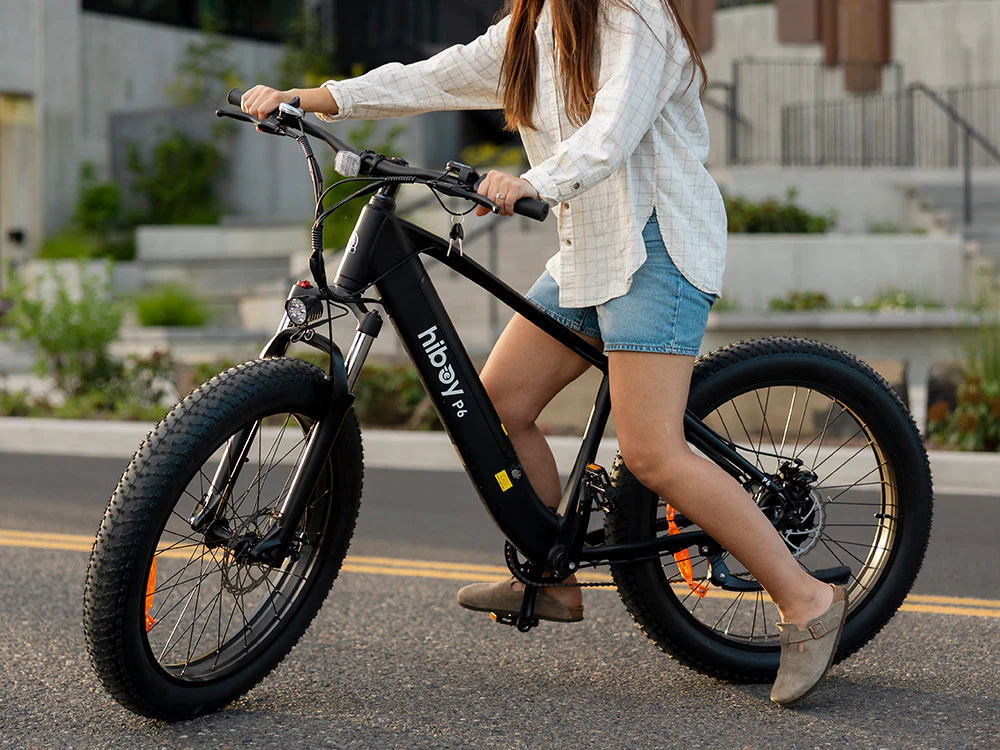 Sky P6 Fat Tire Electric Bike 2025