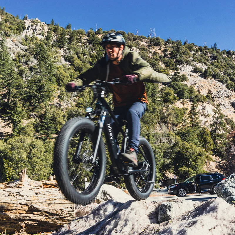 Sky P6 Fat Tire Electric Bike 2025