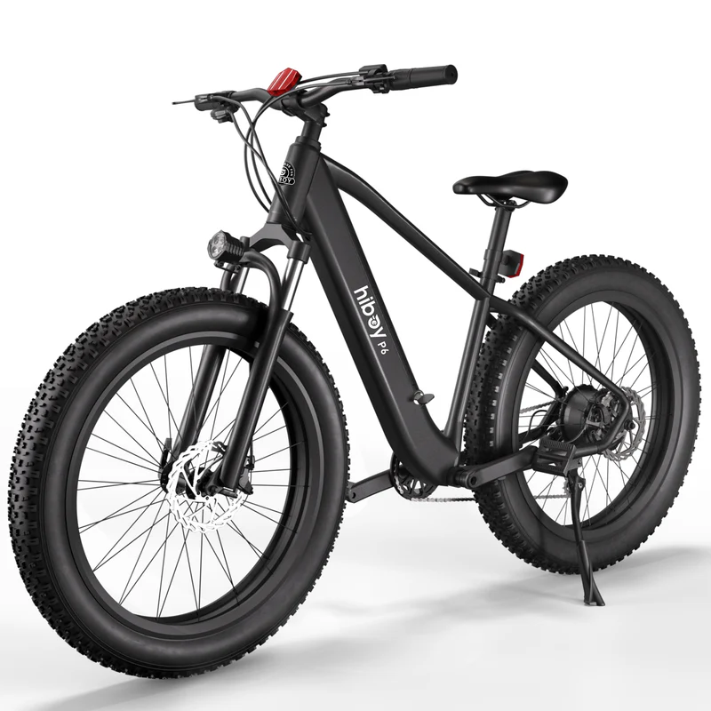 Sky P6 Fat Tire Electric Bike 2025