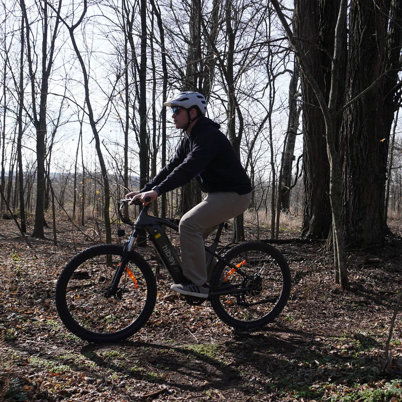 Sky P7 Commuter Electric Bike 2025