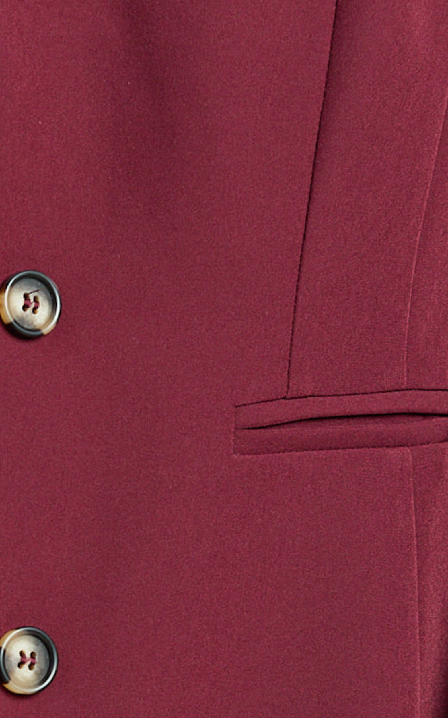 Irene Blazer - Fitted Cinched Waist Blazer in Wine