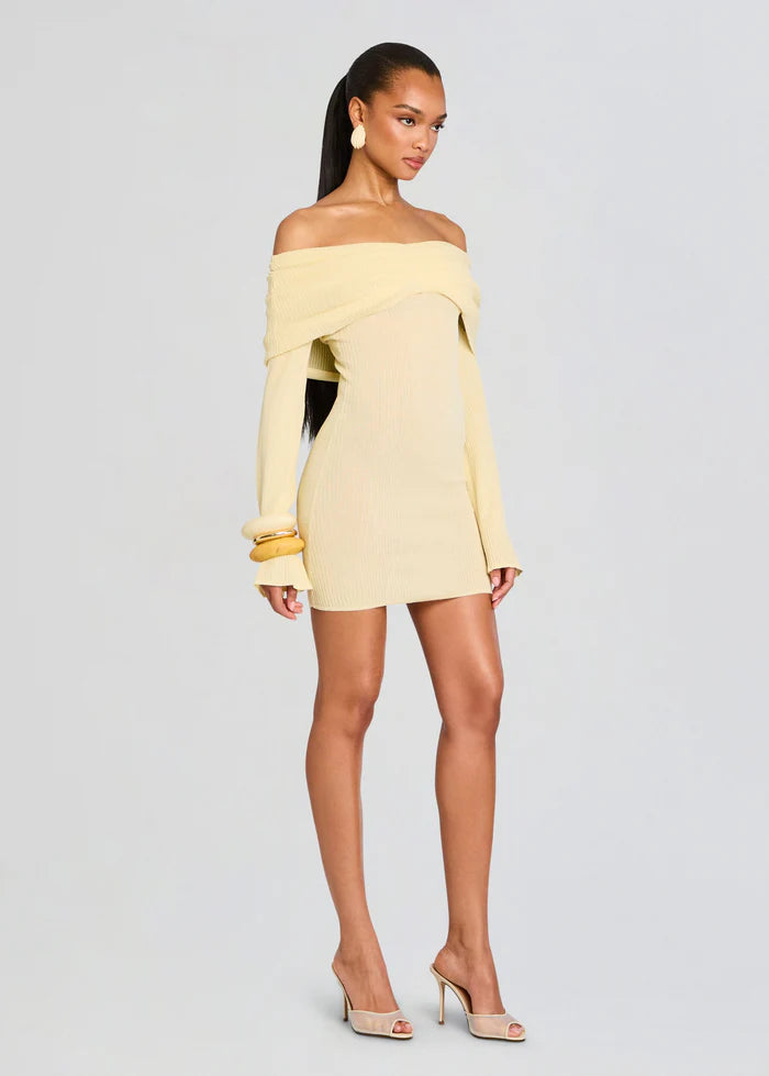 Xen Knit Mini Dress