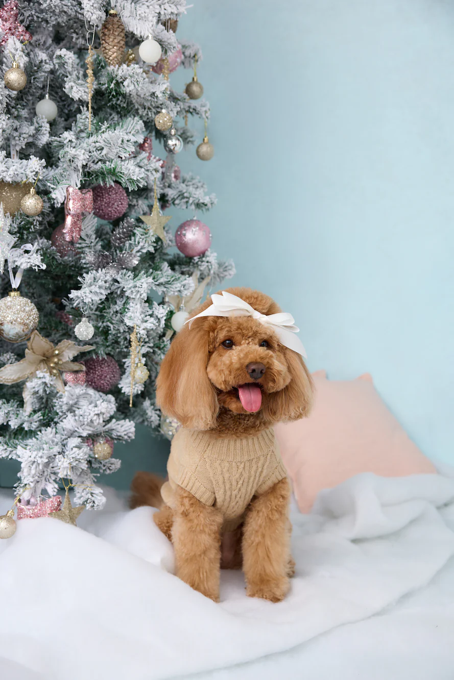 Trendsetter Poppy Dog Knit Sweater Toffee