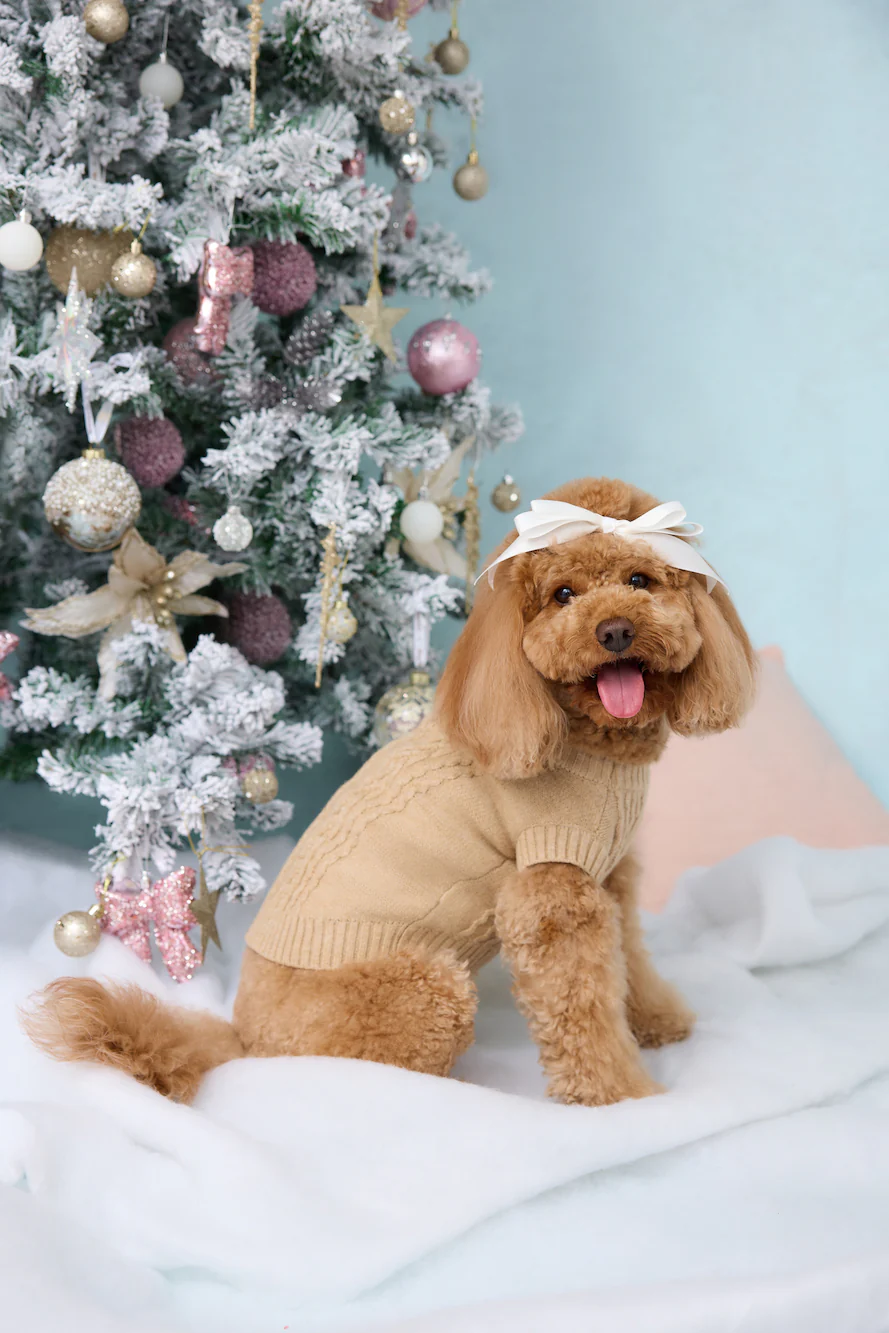 Trendsetter Poppy Dog Knit Sweater Toffee
