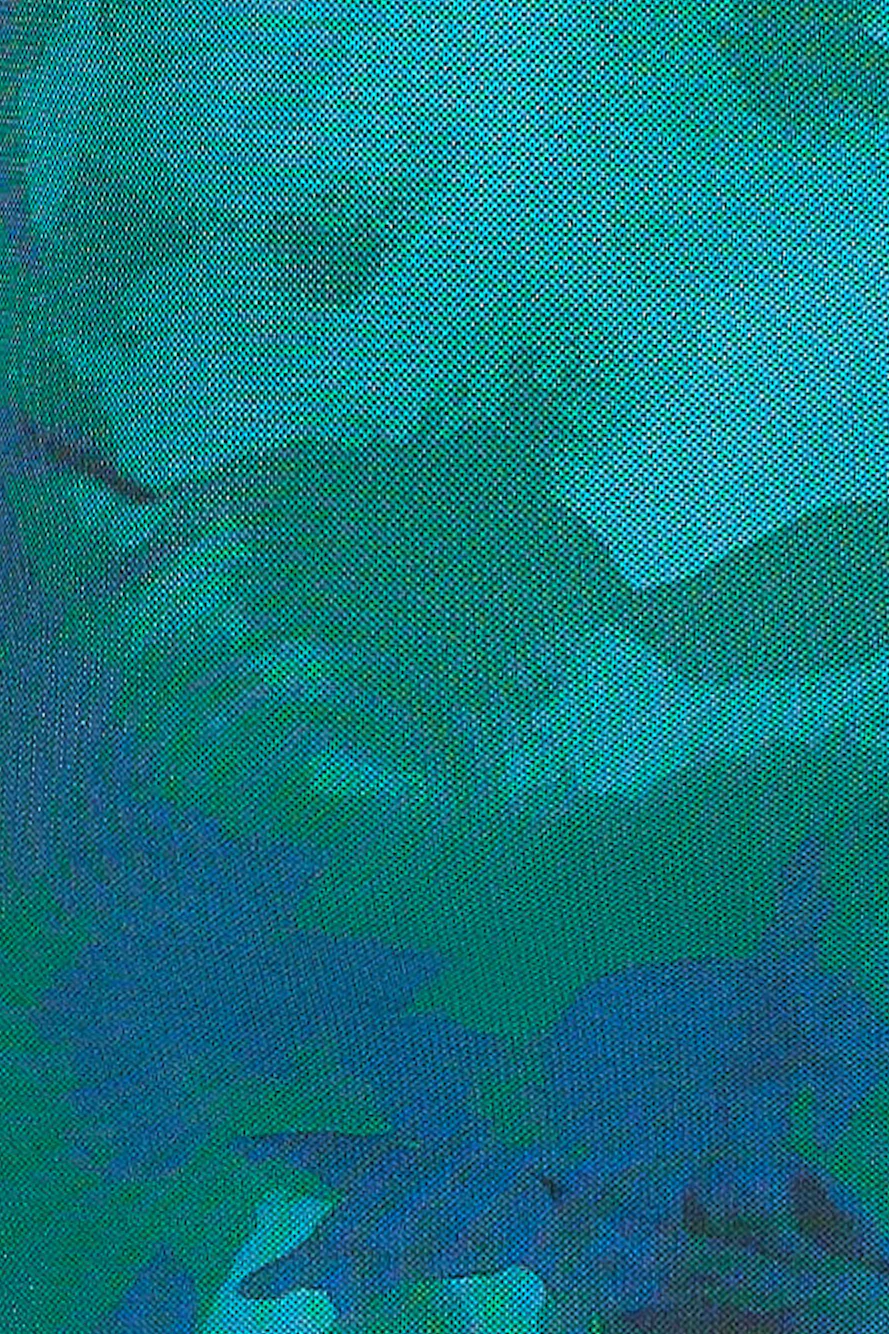 Sweet Spot Mesh Maxi Dress Green