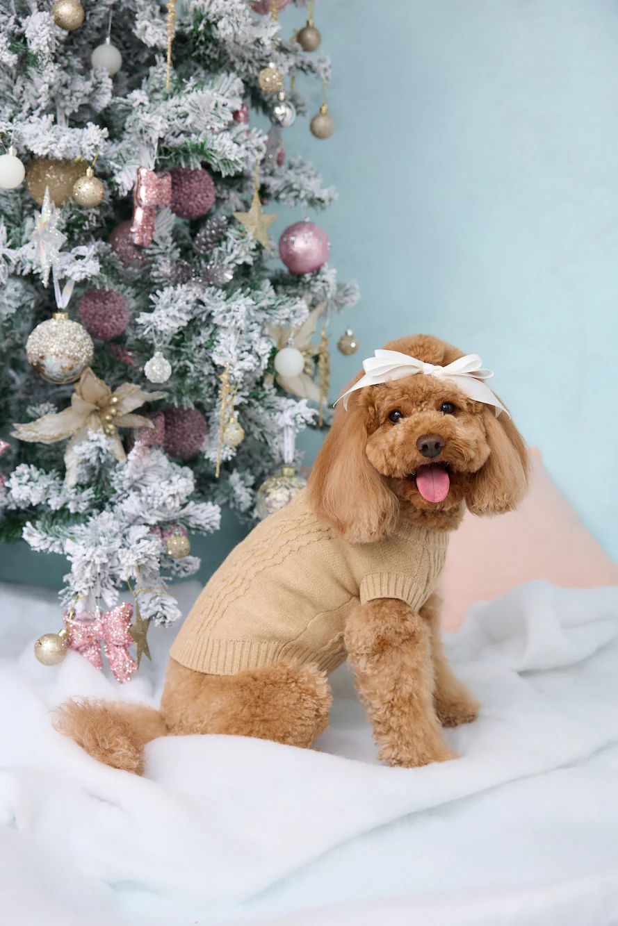 Trendsetter Poppy Dog Knit Sweater Toffee