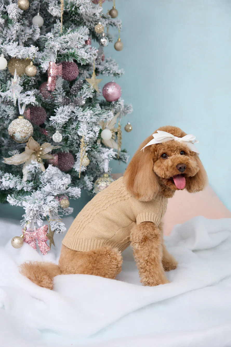 Trendsetter Poppy Dog Knit Sweater Toffee
