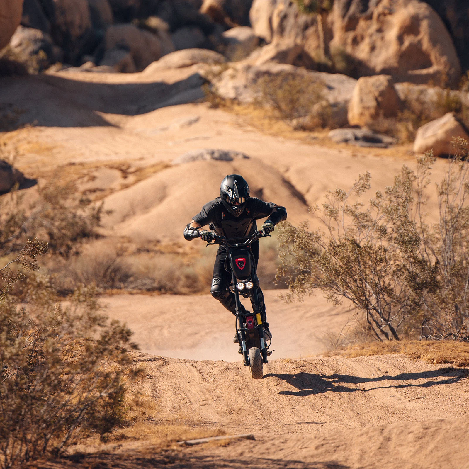 Wolf Warrior 11 Pro +