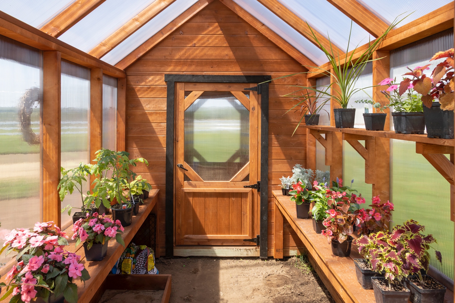 Cedar Greenhouse Shed