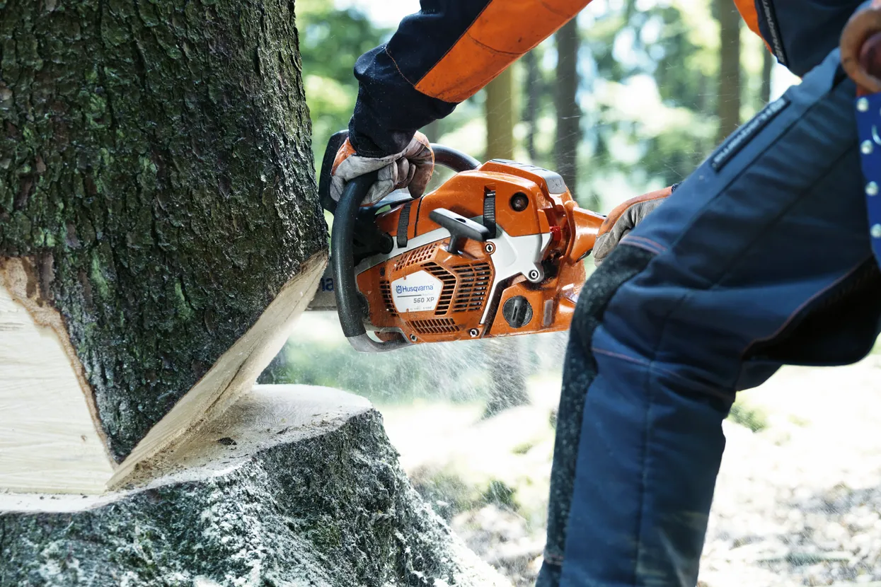 HUSQVARNA 562 XP®