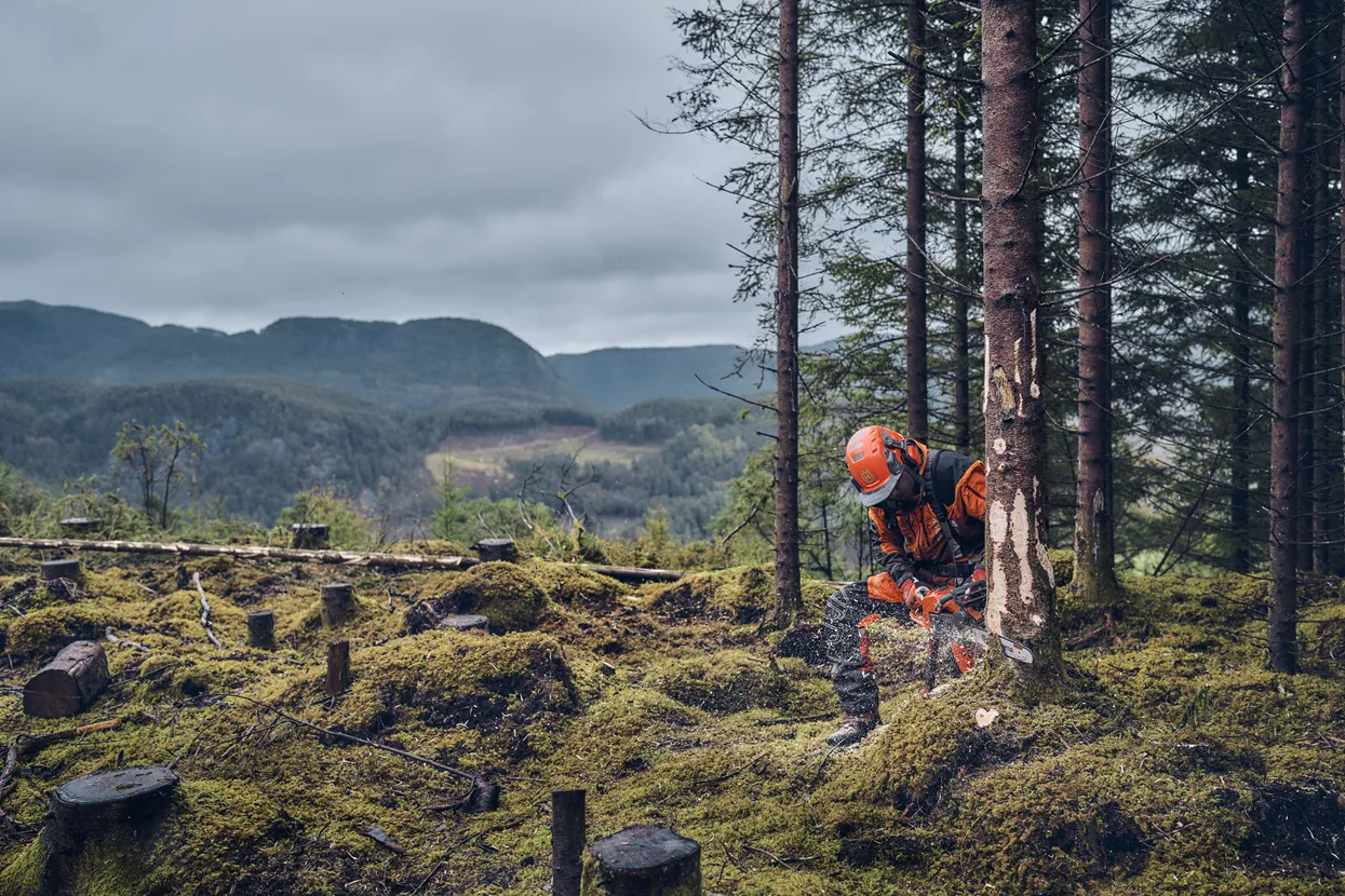 HUSQVARNA 540 XP® Mark III