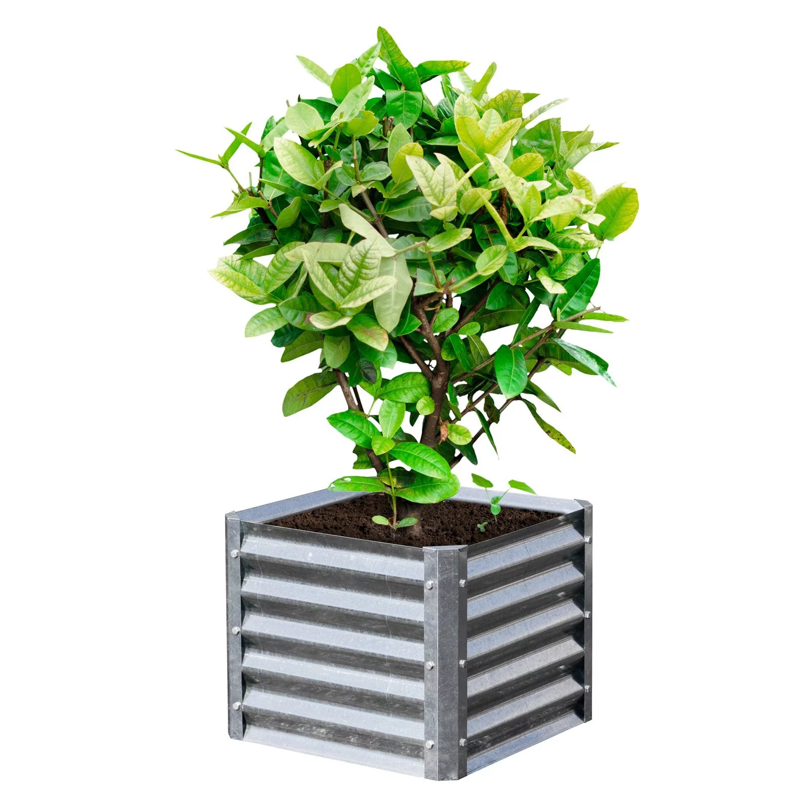 EarthMark Galvanized High Square Raised Garden Bed