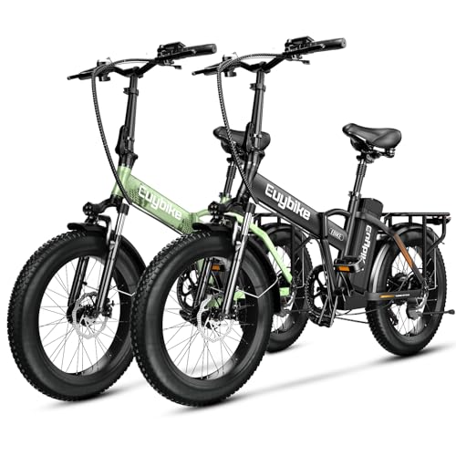 1000W Folding Electric Bike, 48V 20AH Large Removable Battery E Bike, 30+MPH, 80 Miles Max Range, 20