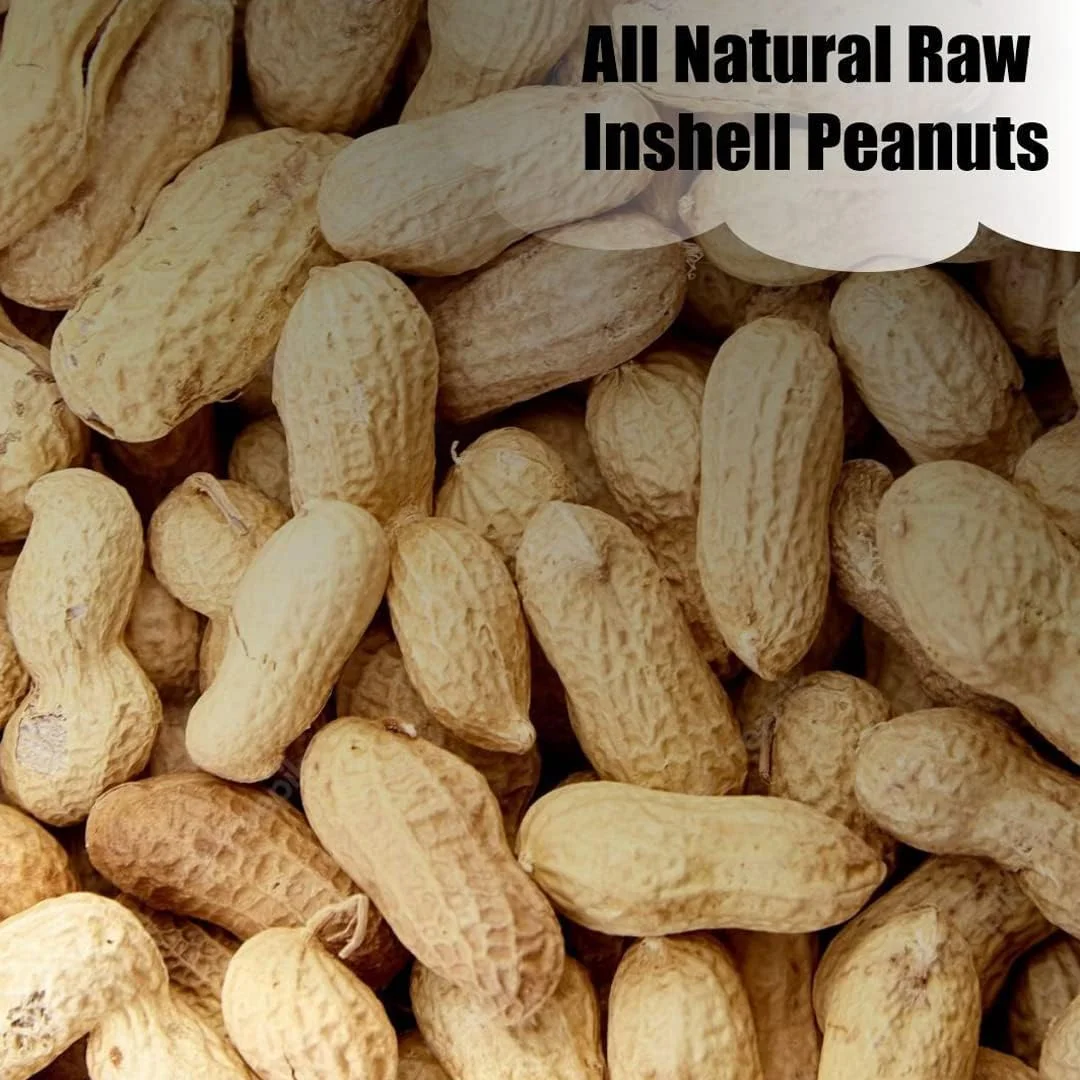 Old Potters Wildlife in-Shell Peanuts, 25 lbs for Birds, Squirrels, and Wildlife. USA Grown Non-GMO, Organic Small Farm, Raw in-Shell Peanuts. Wildlife Grade, 25 lbs.