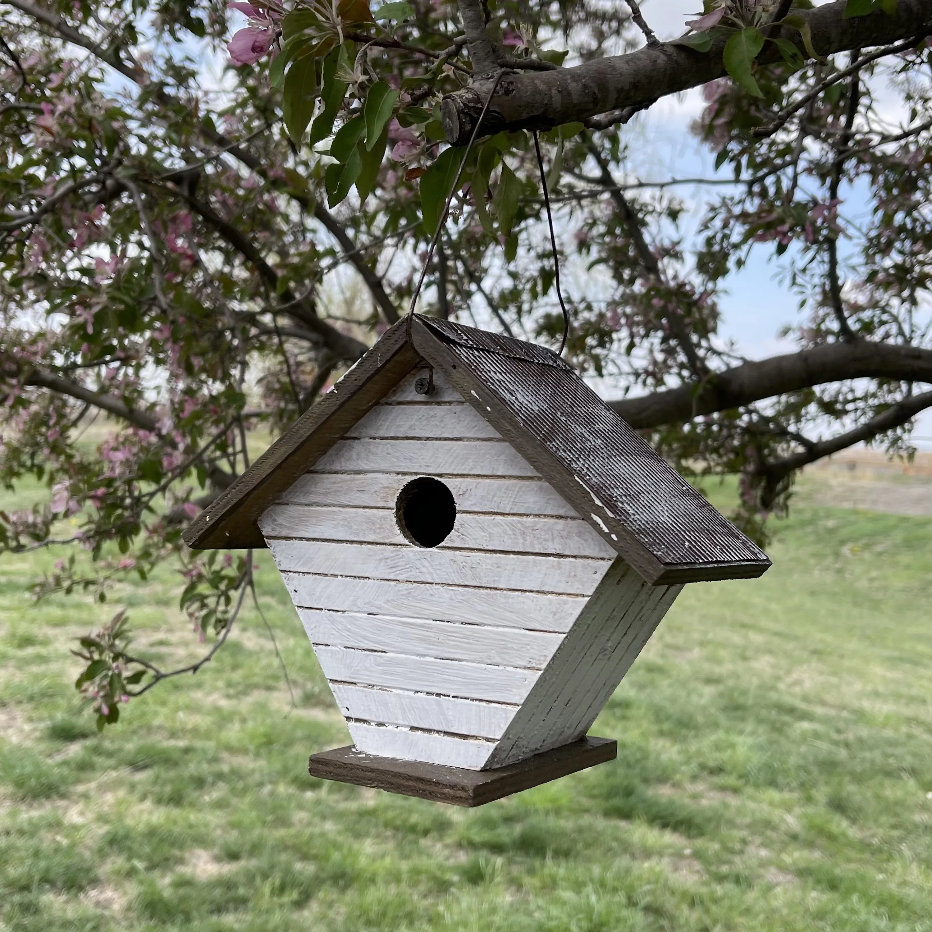 Backyard Essentials Shiplap Bird House White Wren Birdhouse