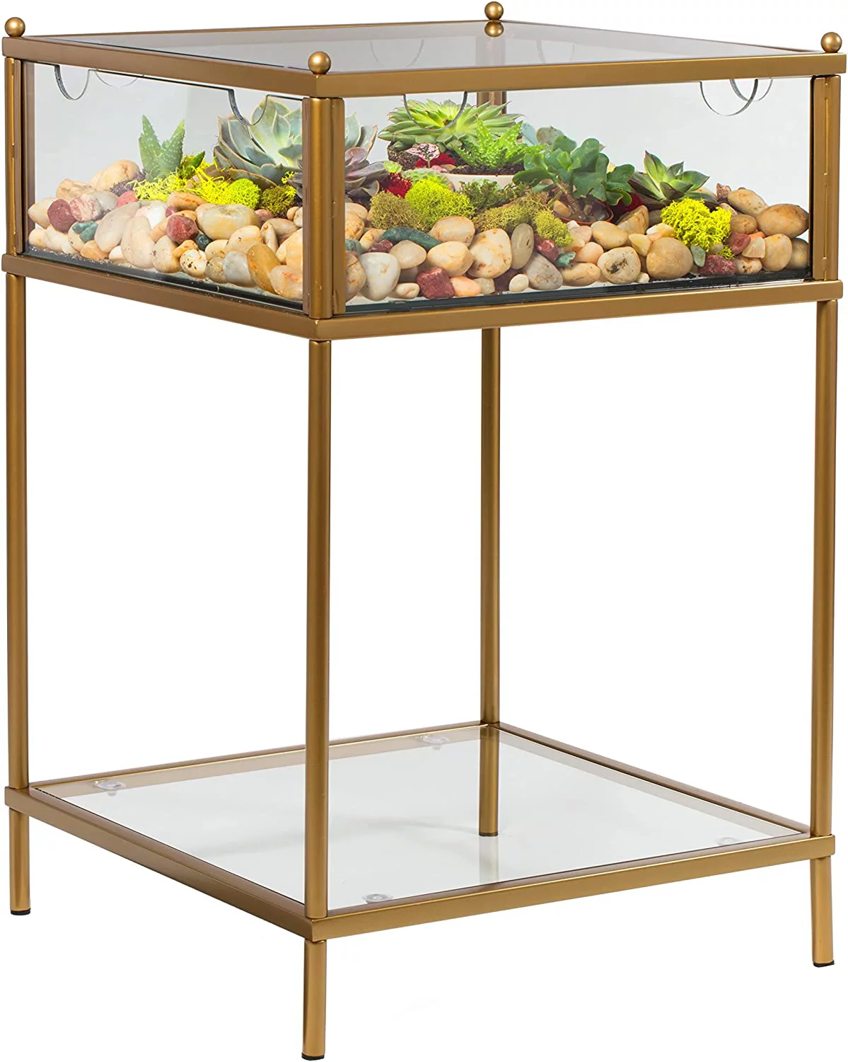 D'Eco Square Terrarium Glass End Table, 18x18x27