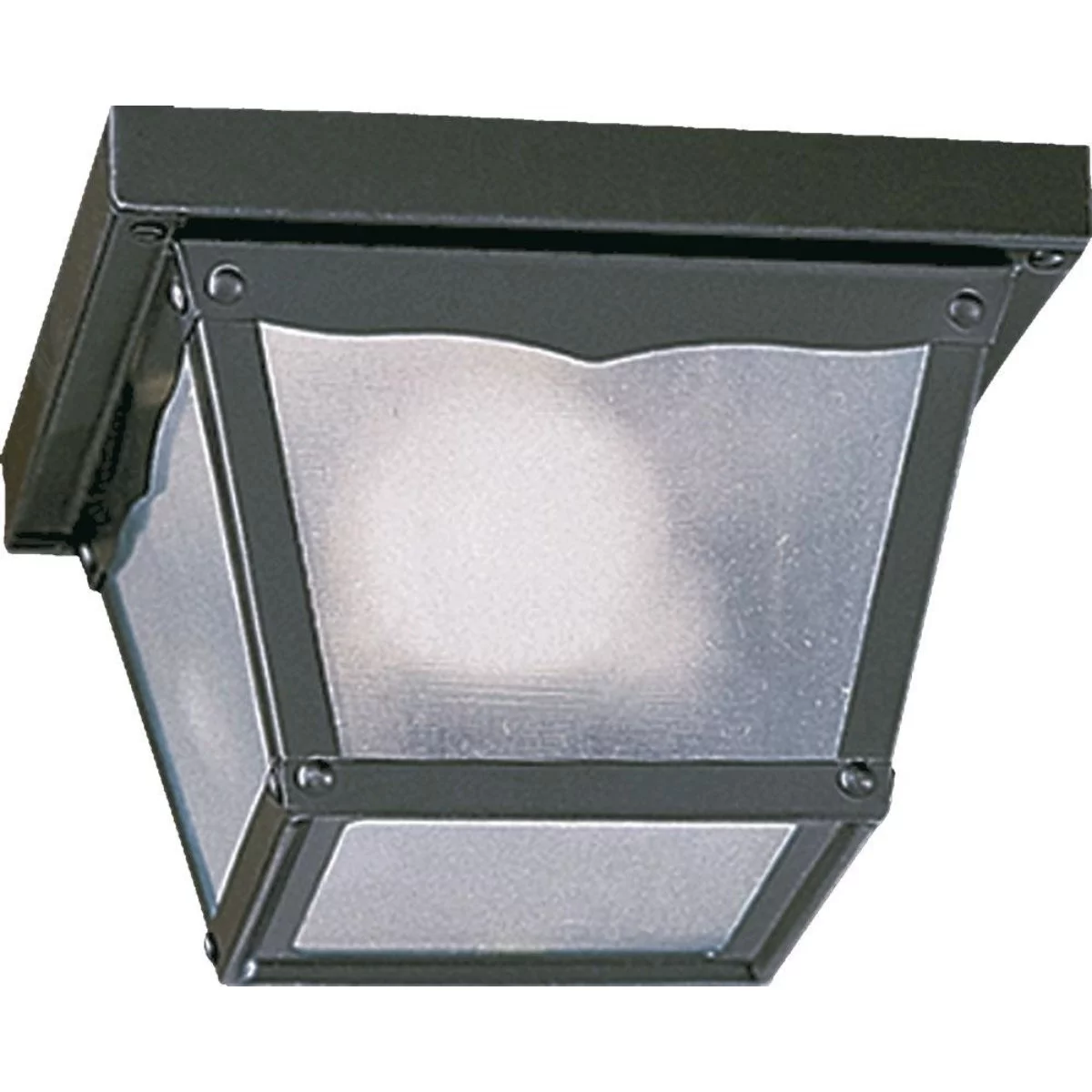 Quorum Lighting - One Light Ceiling Mount - 1 Light Outdoor Cage Flush Mount in