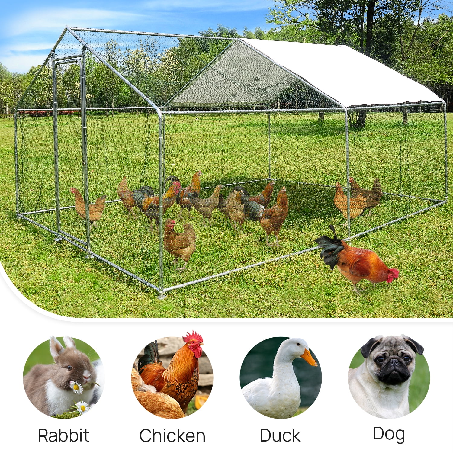 10x10ft Walk in Large Metal Chicken Coop Run Backyard Hen House Poultry Rabbit Cage