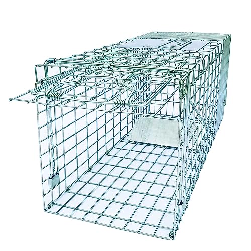 Collapsible Humane Live Animal Cage Trap No-Kill Trapping Kit for Humane Catch Release Rodent Small Cat, Rabbits, Squirrel, Opossum, Squire, Raccoon, All Fit Sized Small Animals, 2-Doors 24