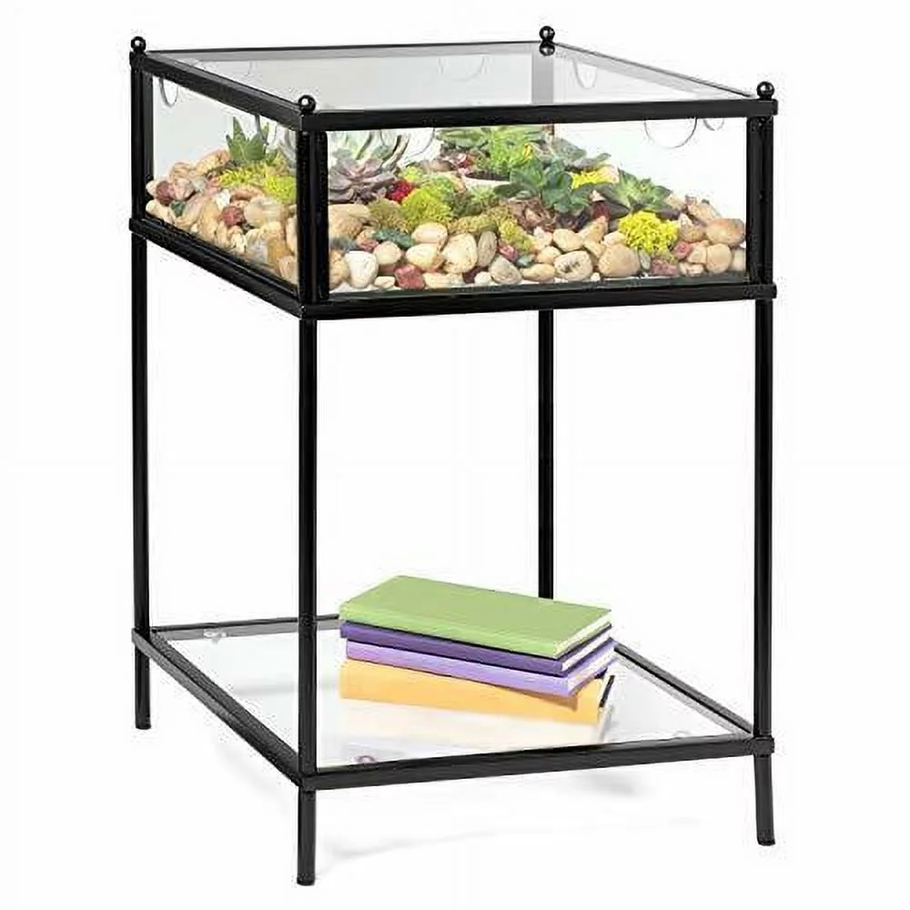 Square Terrarium Display End Table with Reinforced Glass in Black Iron- 18