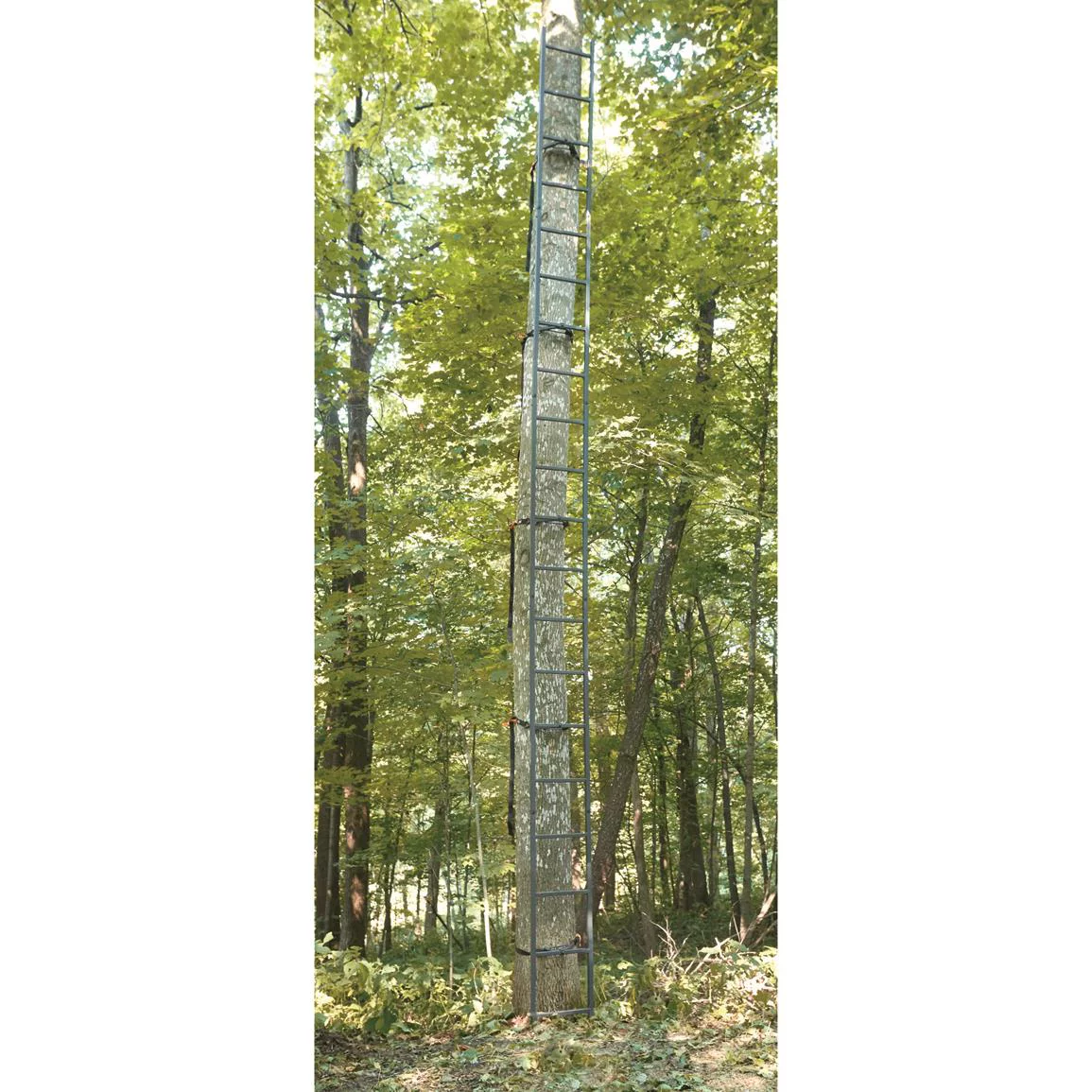 Guide Gear 20' Wide Maxi Tree Stand Ladder Climbing Equipment for Hunting Gear and Accessories