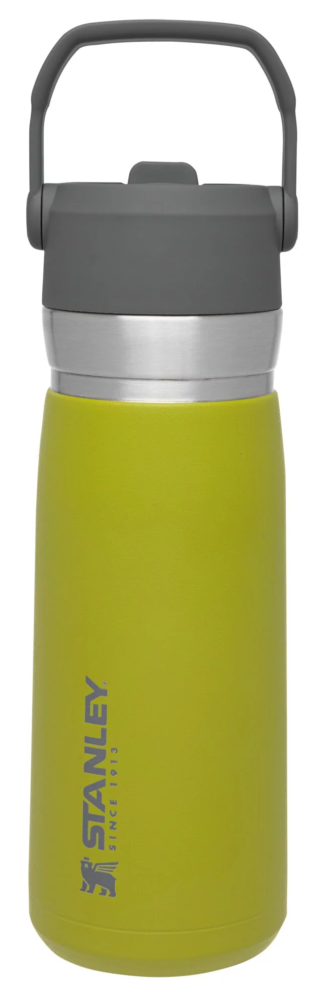STANLEY 22 oz Green and Silver Insulated Stainless Steel Water Bottle with Straw and Flip-Top Lid