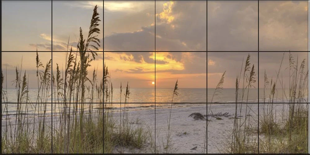 Ceramic Tile Mural - Beach Grass at Sunset - by Sean Allen - Kitchen backsplash / Bathroom shower