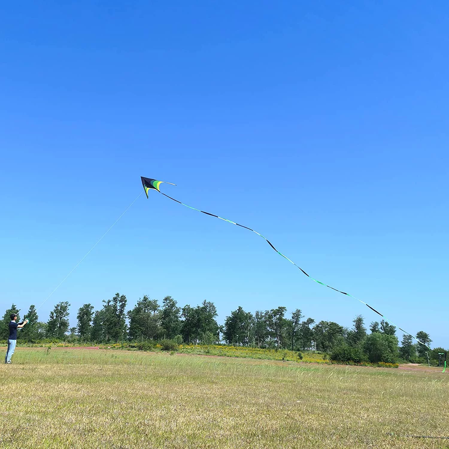 Flying Hoofer Black Green Giant Kite Delta Easy to Fly for Adults Resin Rods