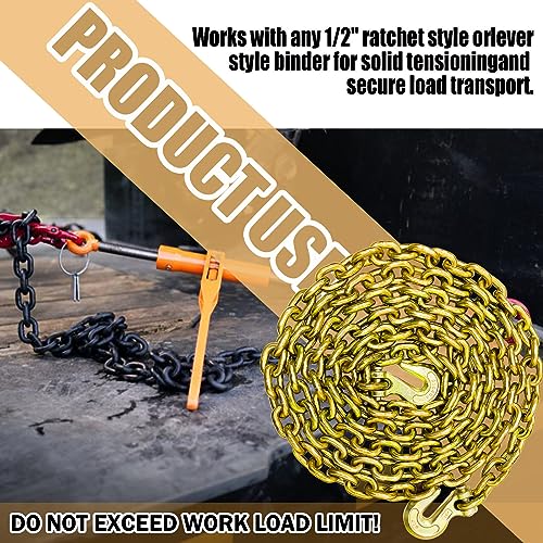 G80 Transport Binder Chain 5/16 Inch x 20 Foot | Tow Chain with Clevis Grab Hooks | 4,900 lbs Safe Working Load | Heavy Duty Chain for Transporting Towing (5/16'' x 20FT (Yellow Zinc))