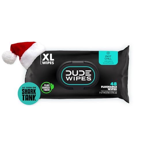 DUDE Wipes - Flushable Wipes Stocking Stuffers - 1 Pack, 48 Wipes - Mint Chill Extra-Large Adult Wet Wipes - Eucalyptus & Tea Tree Oil - Sewer and Septic Safe