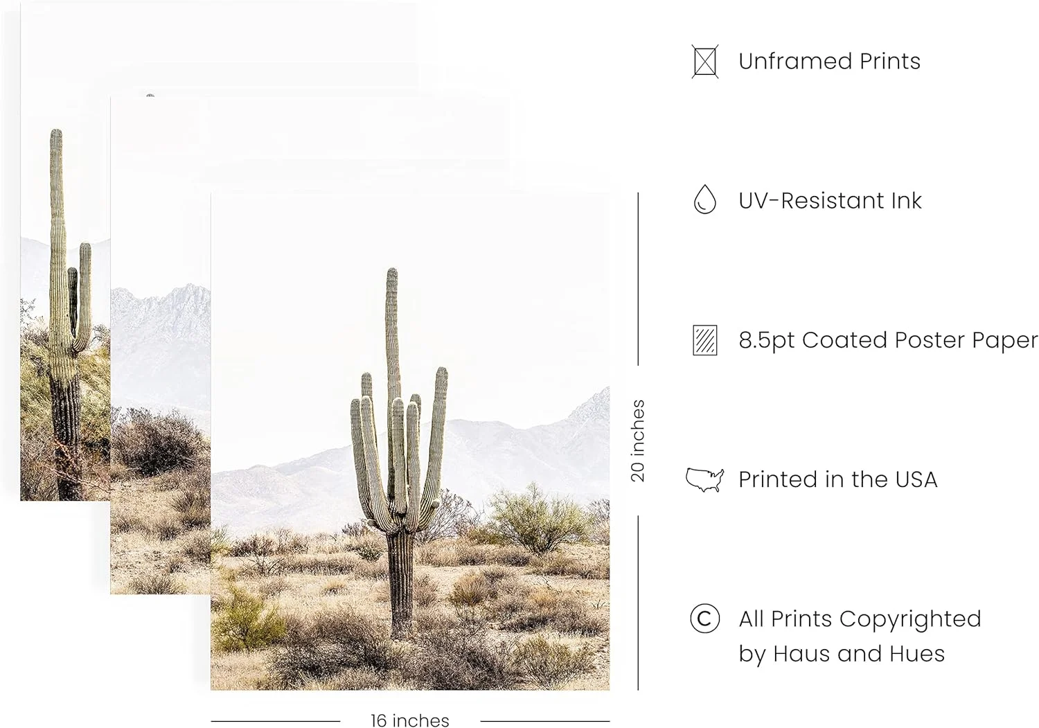 Haus and Hues Desert Wall Art - Set of 3 Western Posters, Landscape Pictures Wall Art, Nature Posters and Prints, Joshua Tree Wall Art, Cactus Posters Nature, Scenic Posters For Wall (16x20, Unframed)