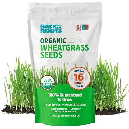 Back to the Roots 100% Organic 5-Part Salad Seeds | 1 Pound Non-GMO | Nutrient Dense, Easy to Grow, Rich in Fiber