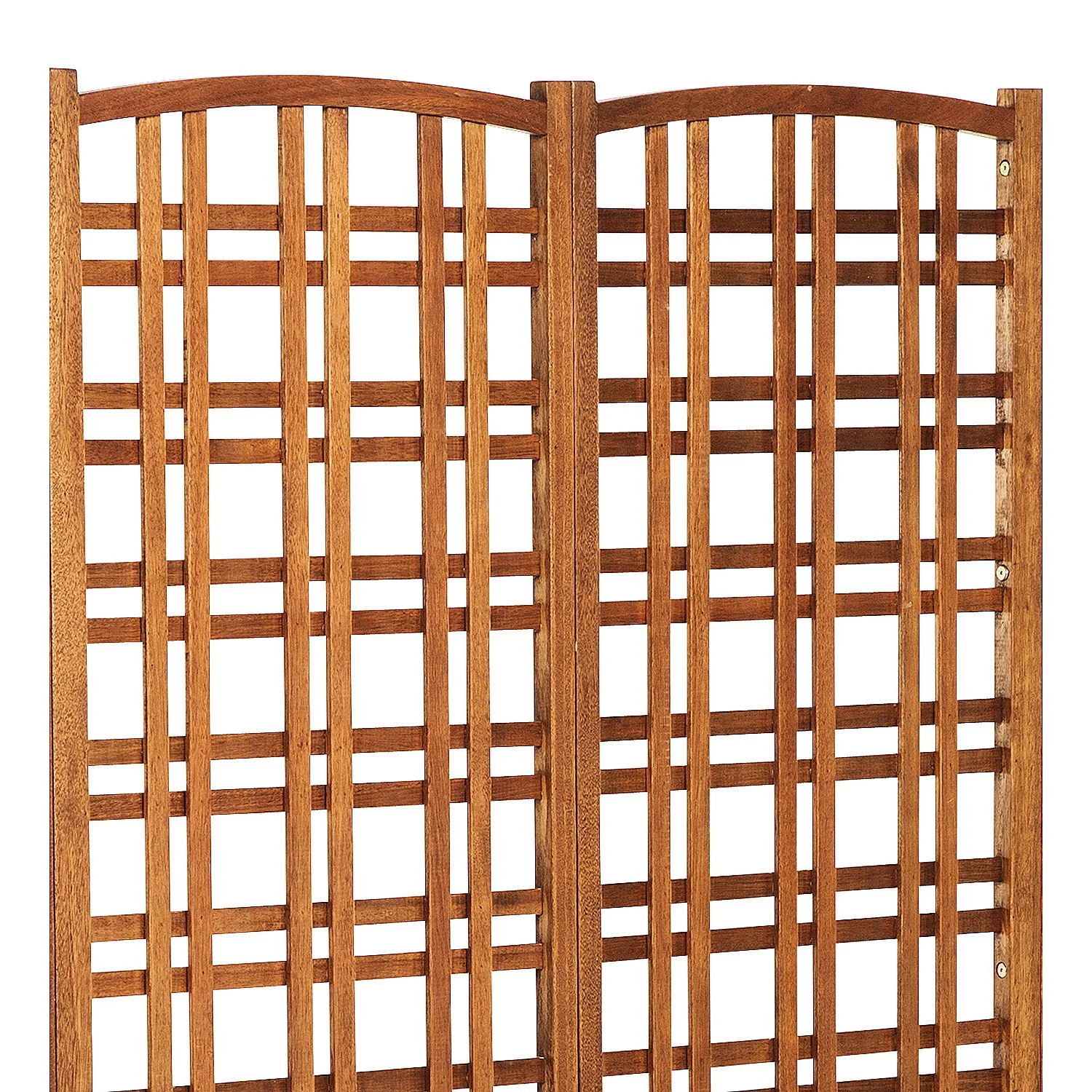 Evergreen Large Outdoor Eucalyptus Privacy Trellis