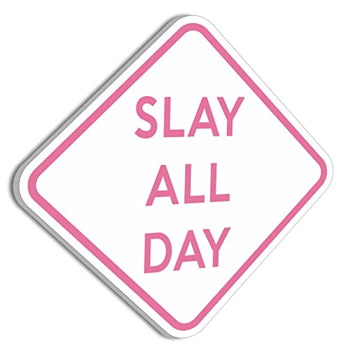 Slay All Day Funny Poster 11