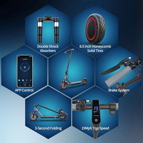 Electric Scooter with Dual Shock, 8.5