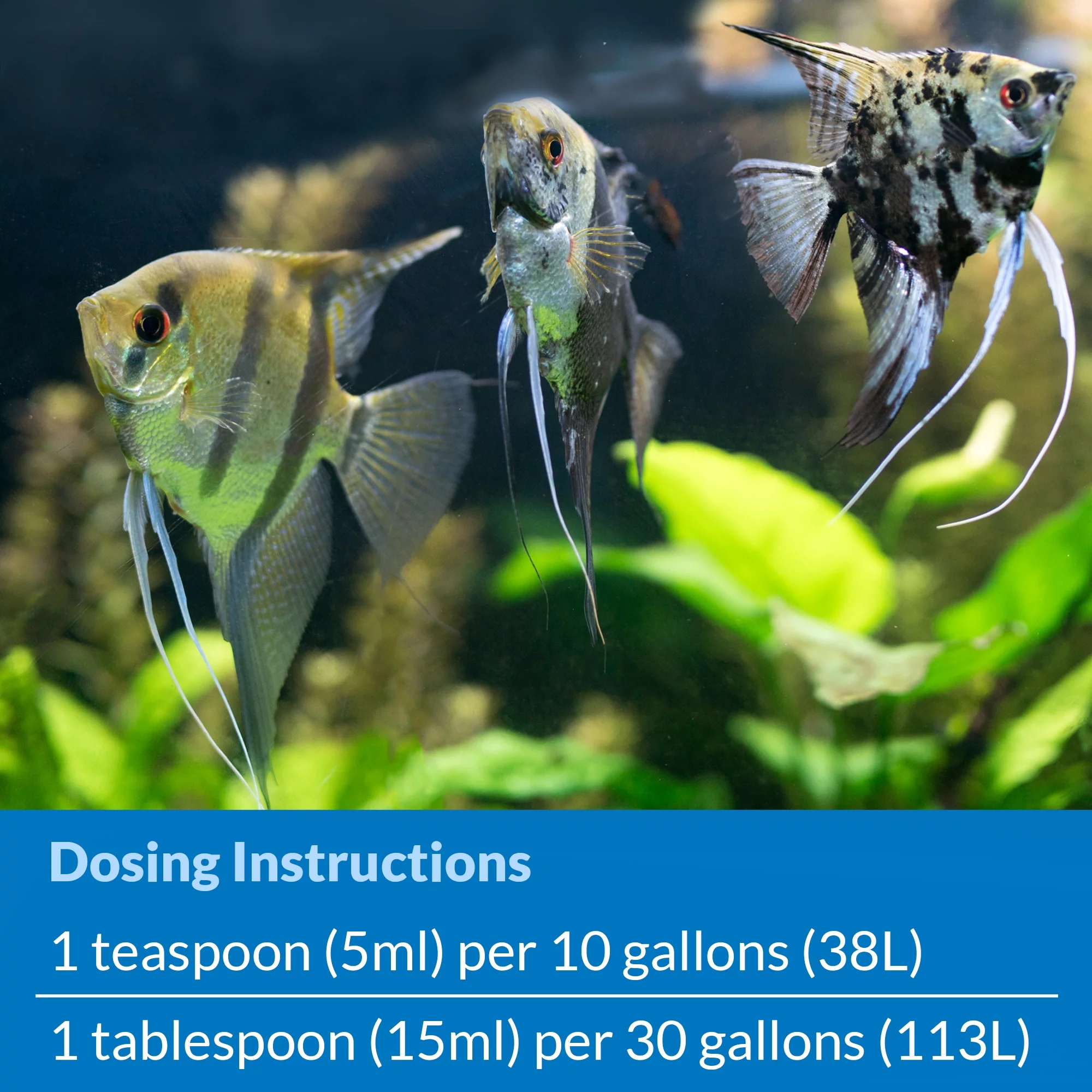 API Stress Zyme, Freshwater And Saltwater Aquarium Cleaning Solution, 1 Gal