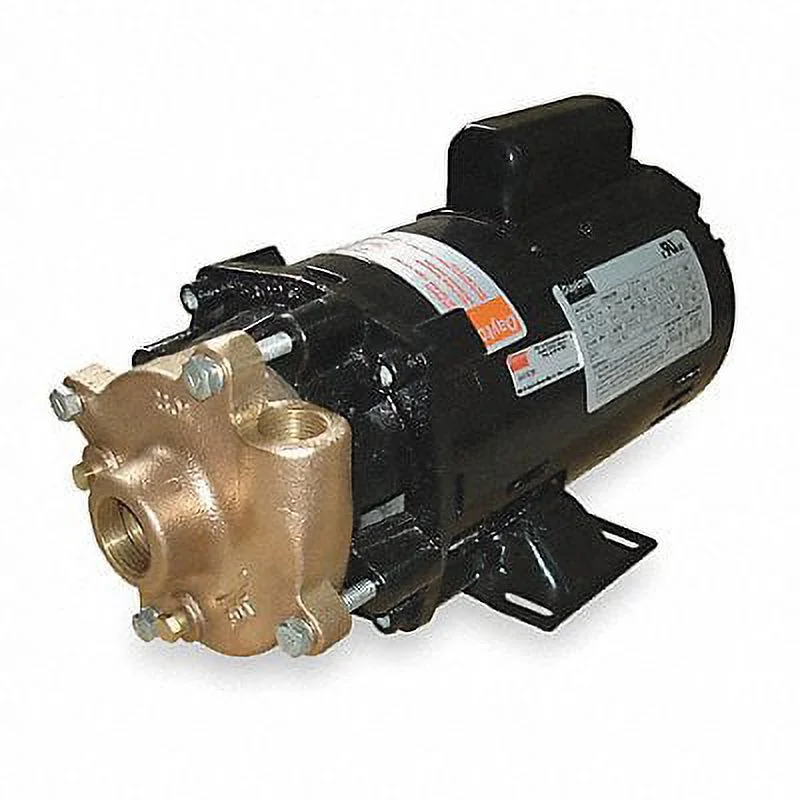 Dayton Pump,1 HP,1 Ph,115/230VAC  2ZWR9