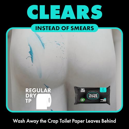DUDE Wipes - Flushable Wipes Stocking Stuffers - 1 Pack, 48 Wipes - Mint Chill Extra-Large Adult Wet Wipes - Eucalyptus & Tea Tree Oil - Sewer and Septic Safe