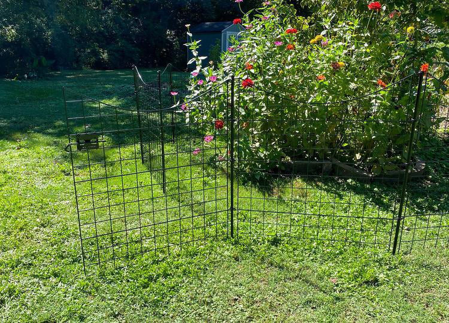 Zippity Outdoor Products 38in Semi-Permanent Black Metal Garden Gate with 4 Fence Panels