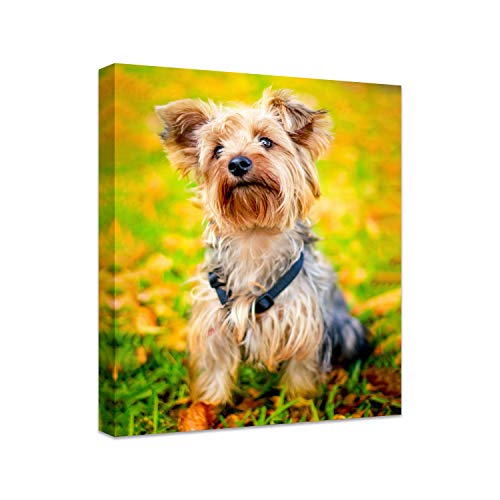 Personalized Photo to Canvas Print - Canvas Prints With Your Photos on Custom Wall Art for Bedroom, Living Room, Wedding Baby Pet Family Picture Framed Wall Art (6