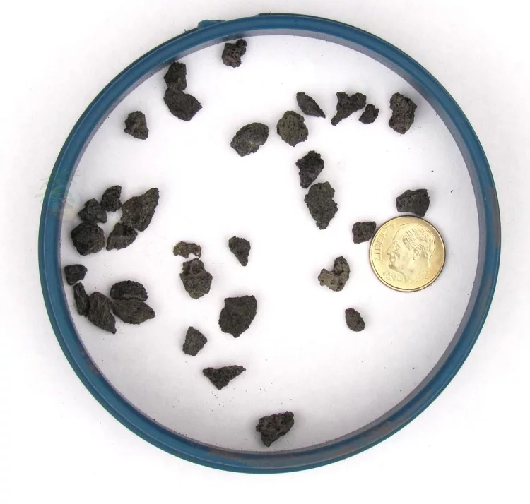 Bonsai Jack - Black 1/4 inch Horticultural Lava Rock Soil Additive For Cacti, Succulents and Plants - No Dyes or Chemicals - 100% Pure Volcanic Rock (2 Gallons)