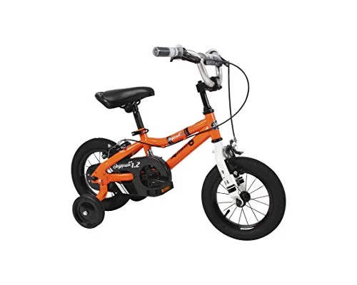 Duzy Customs Childrens-Bicycles Skyquest Orange 12
