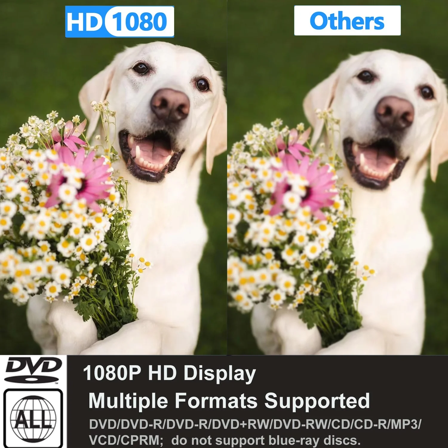 DVD Player with HDMI 1080P HD DVD Player for TV with Remote Portable CD Player for Home