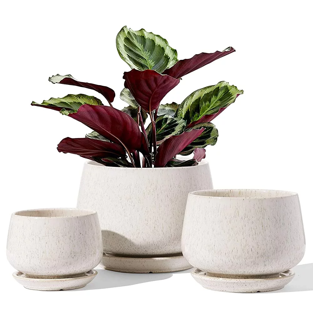 LE TAUCI 4.1+5.1+6.5 Inch Ceramic Plant Pots with Drainage Hole and Saucer, Set of 3, Reactive Glaze Beige