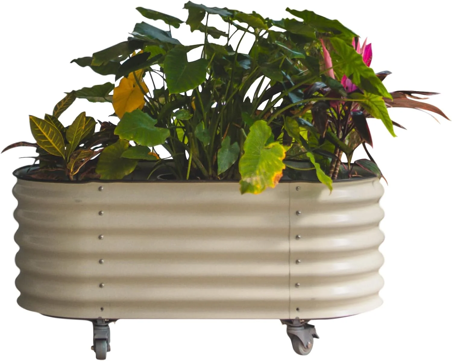 Vego Garden 2 x 4 ft Self-Watering Rolling Planter Raised Gardening Bed Kits-Pearl White