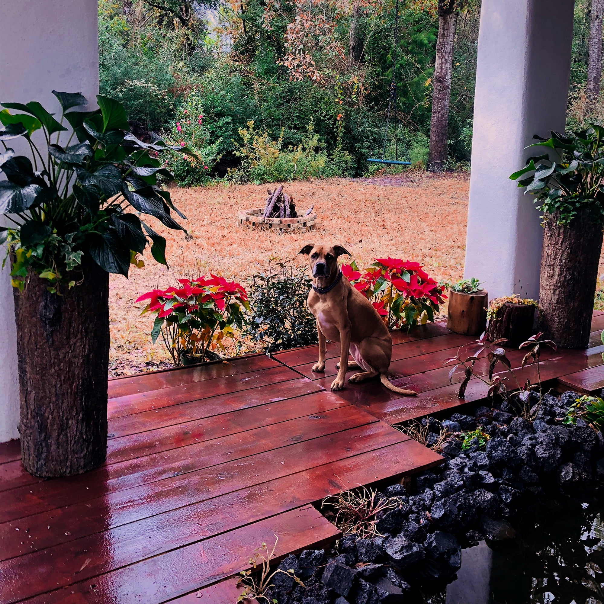 Farmhouse Porch & Home Planter. Country Woodland Rustic Tall Plant and Flower Stand. Large Outdoor Patio and Deck Unique Log Pot Decor