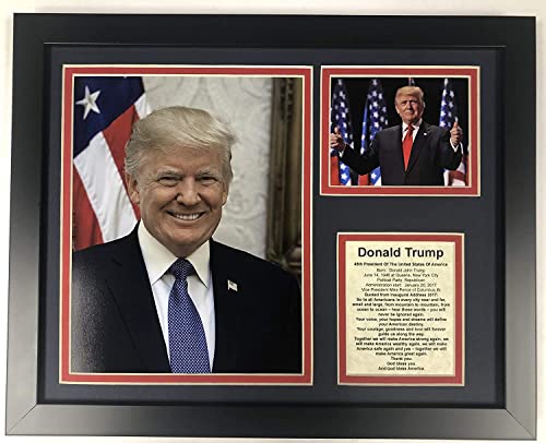 Donald Trump | America's 45th President | Framed 12